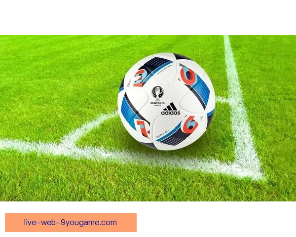 足球赛事直播视频在线观看与高清回放下载全攻略平台推荐与使用技巧